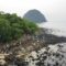 Phú Yên kêu gọi cộng đồng bảo vệ rạn san hô Hòn Yến